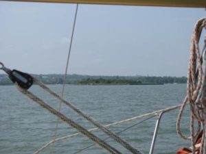 IMG_8681 - Copy
