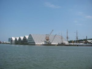 IMG_8705 - Copy
