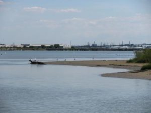 img_0183-copy