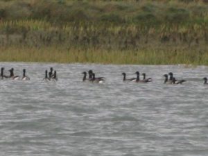 img_0376-copy