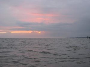 img_0459-copy
