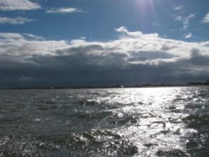 img_0485-copy