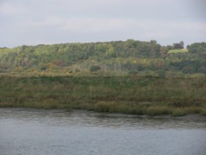 img_7518-copy